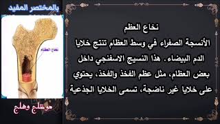 معلومات عن نخاع العظم ا برنامج كل يوم معلومة ا بالمختصر المفيد نتعلم ونستفيد