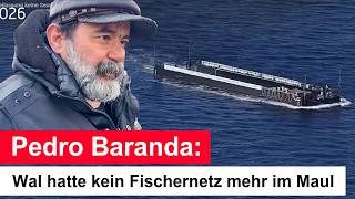 Buckelwal Poel: Kein Fischernetz mehr im Maul - Pedro Baranda gibt Update