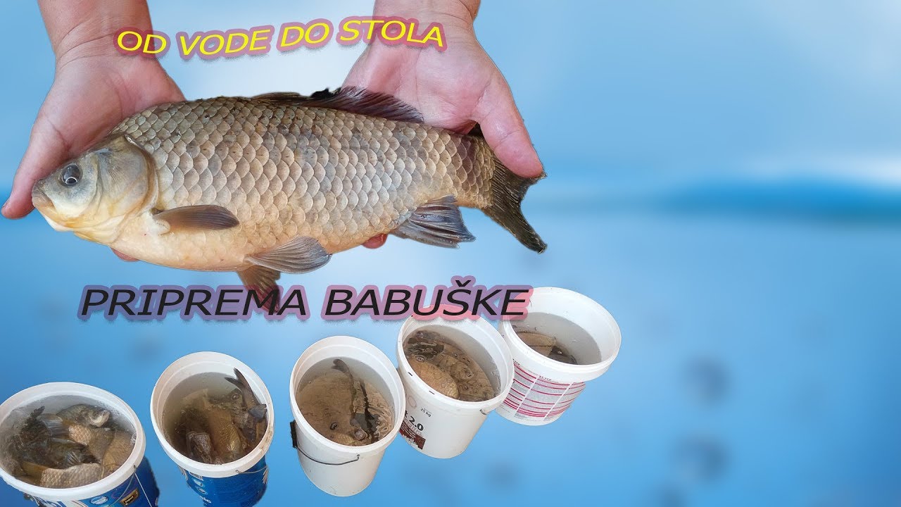 Priprema babuške na Bosanski način :) Preparing Fish BalIk HazIrlamak