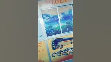MLOLA EXPRESS 