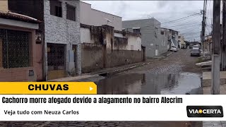 CHUVAS - Cachorro morre afogado devido a alagamento no bairro Alecrim