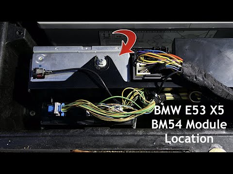 BMW E53 X5 BM54 모듈 / 라디오 튜너 위치