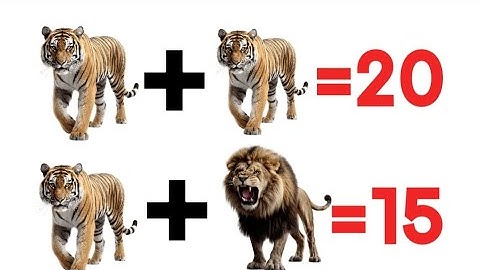 Magic Reasoning Question ll Test Your IQ-Level ll