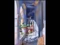 Which I saw | Digital Painting Process #shorts #ytshorts #shortsfeed #illustration #digitalart #art