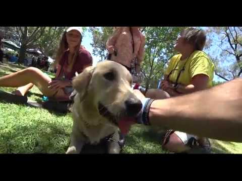 Irvine Super Pet Adoption 2018 Event Sponsored By The EPIC DOG PROS Friend of Animals newport beach oregon