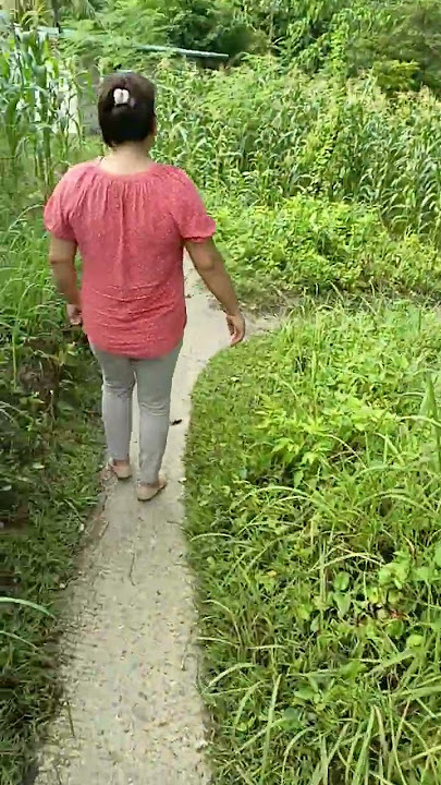 Nindot ug tubu mgamais