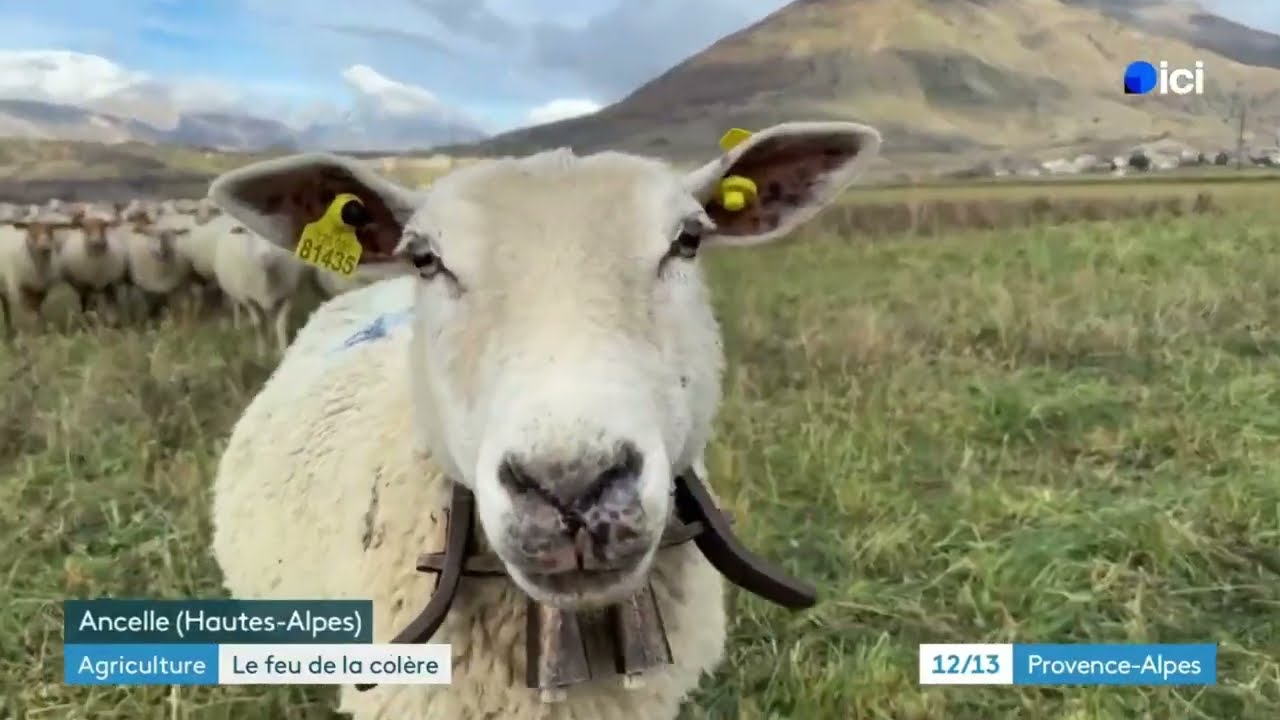 La fourche et la fierté 🇫🇷❤️