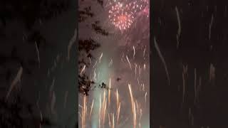 DISNEY HAPPY NEW YEAR 2025 EPCOT FIREWORKS NEW YEAR’S EVE PARTY #disney #happynewyear #shorts