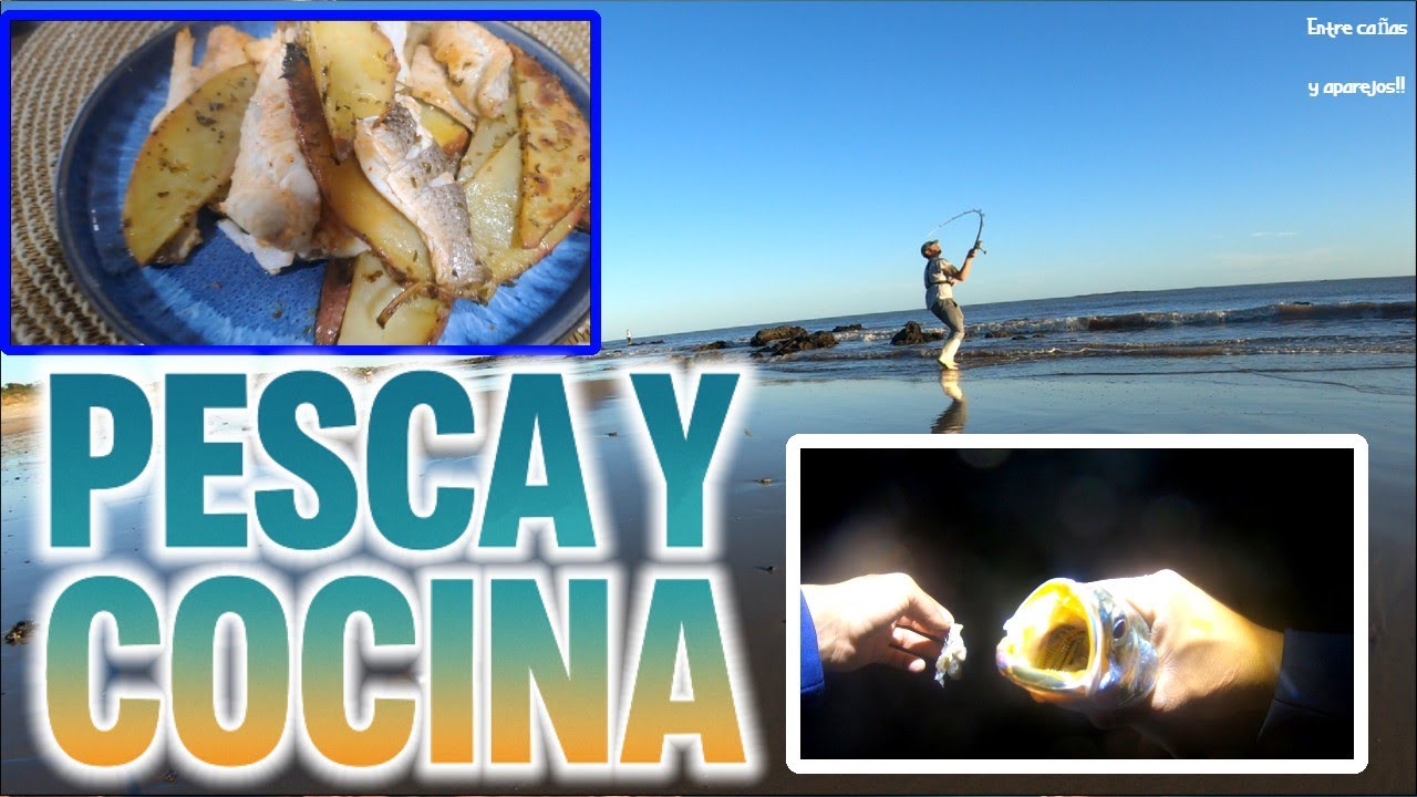 РЫБАЛКА И ПРИГОТОВЛЕНИЕ ПИЩИ‼️🔥Рыбалка с берега в соленой воде // Uy // @entrecanasyaparejos2396