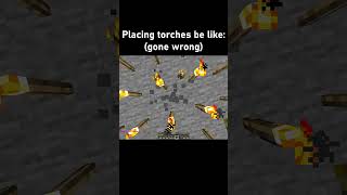 That one friend who places WAY too many torches