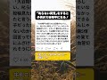 「叱らない育児がすごい」大谷翔平のニュースを見て…牛乳をぶちまけた息子に思った「ある真実」 #育児あるある #男の子ママ