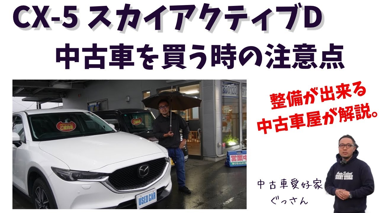A used car dealer specializing in made-to-order sales will give