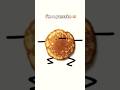 I’m a pancake #pancake #pancakes #fypシ #hehe #idontknowwhattoputhere #cute #idk #idontknowwhattodo