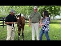 Foal Friday: Coach Rocks and Life Is Good Filly