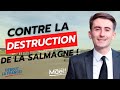 Non  la destruction de la salmagne et de son arodrome 