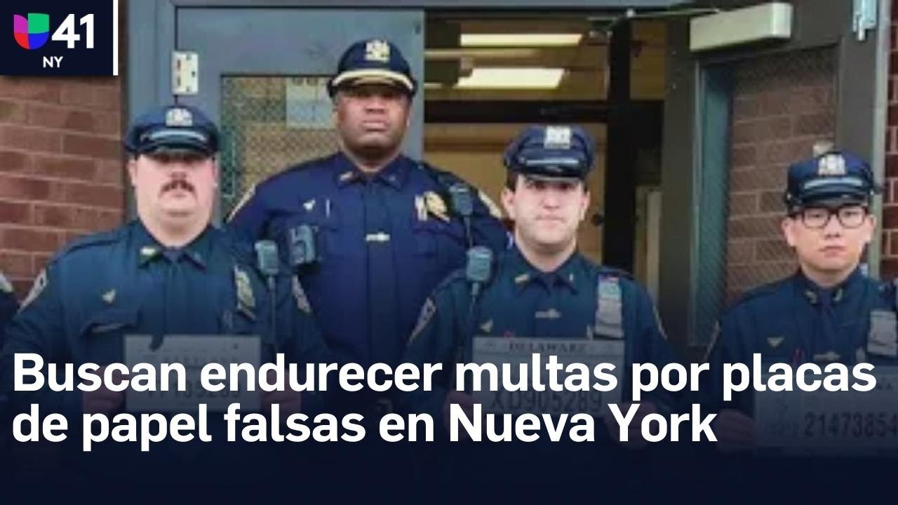 Dos proyectos buscan aumentar las multas por la compra y venta de placas de papel en Nueva York