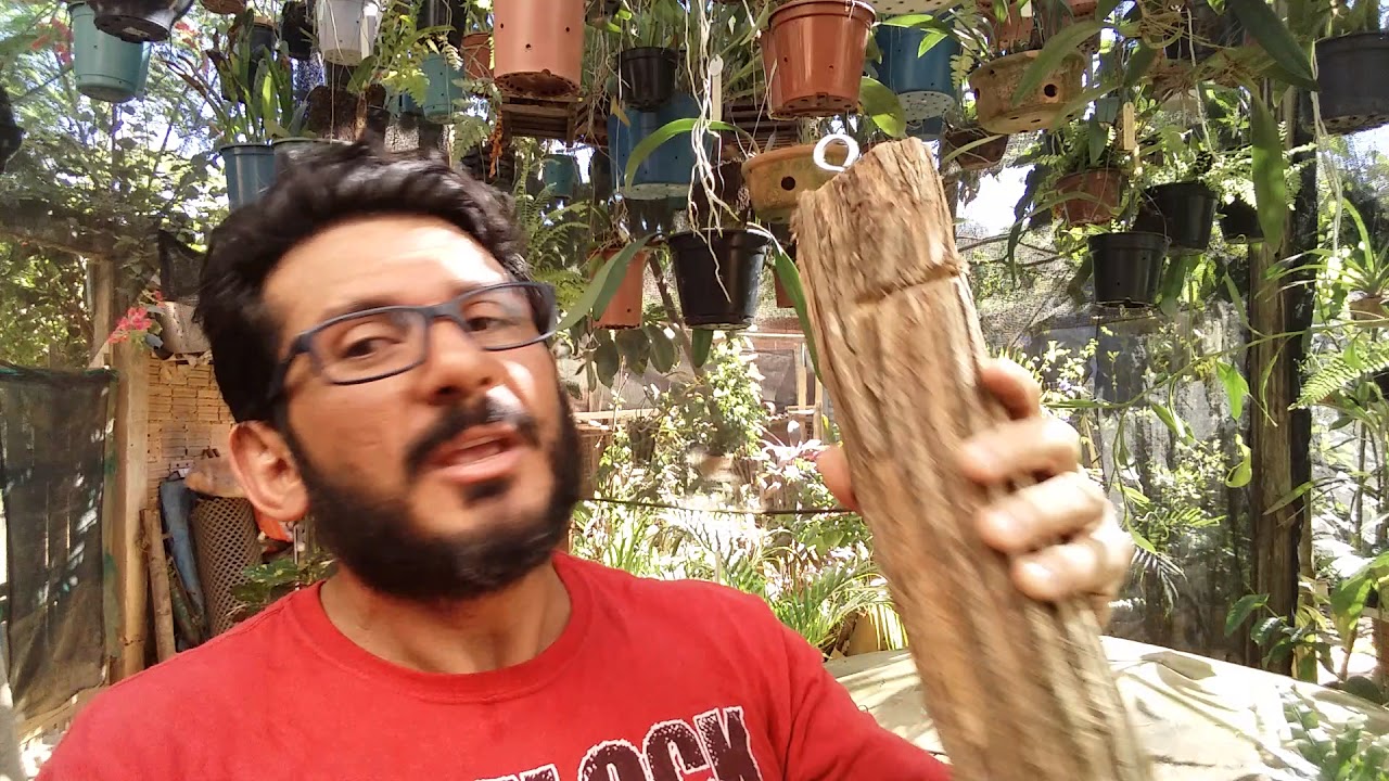 Cultivo de Orquídeas em telha