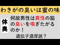 【禁断臭】何故男たちは女性の脇の匂いを嗅ぎたがるのか！スペンス乳腺の匂いなのか！遺伝的要素が高いですよね！おっぱい、おもらし、おならよりも魅惑な香り！性風俗では地雷なんですけどね‼️