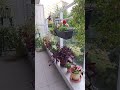 بدأت قناة شاوية و الغربة Shâwîya Wâ Lghorba بث ا مباشر ا مرحبا بكم ياجماعة الخير بدأت قناة شاوية و الغربة Shâwîya Wâ Lghorba بث ا مباشر ا مرحبا بكم ياجماعة الخير