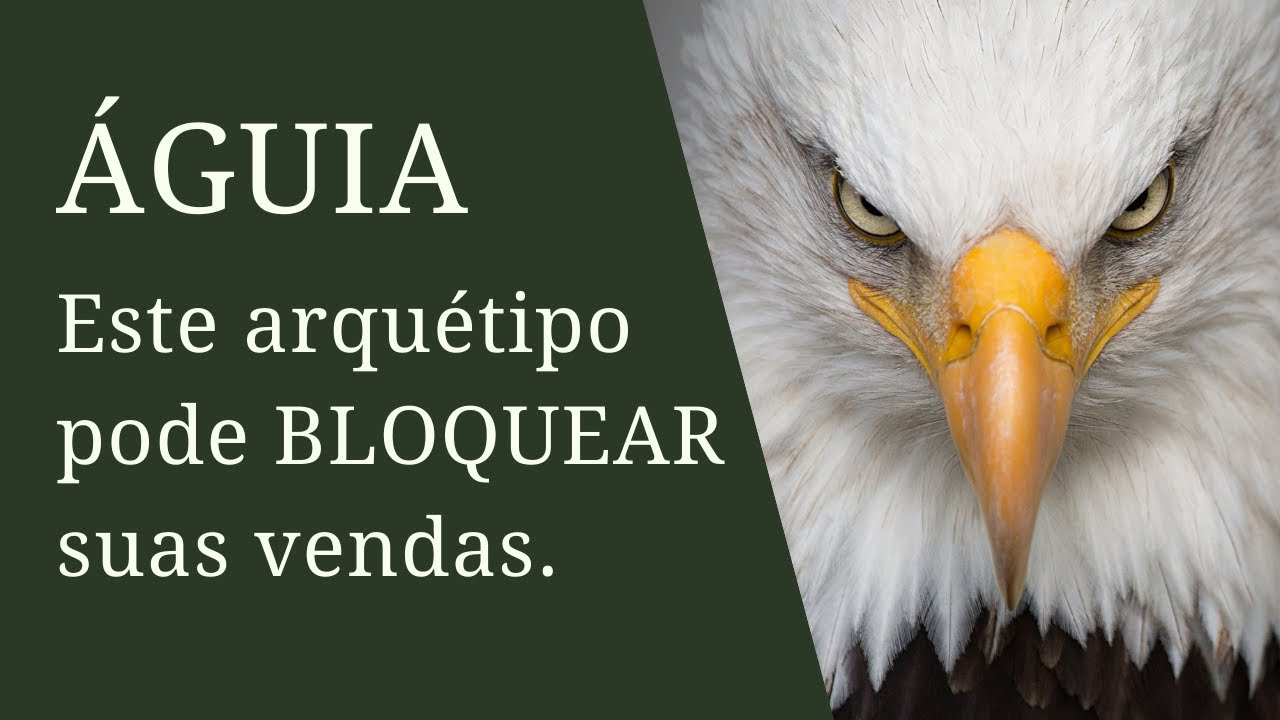 Arquétipo Da águia Significado - RETOEDU