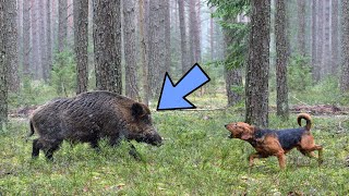 50 Crazy Facts About FLORIDA