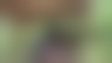 Franklin Armory BFS Gen 3 Testing