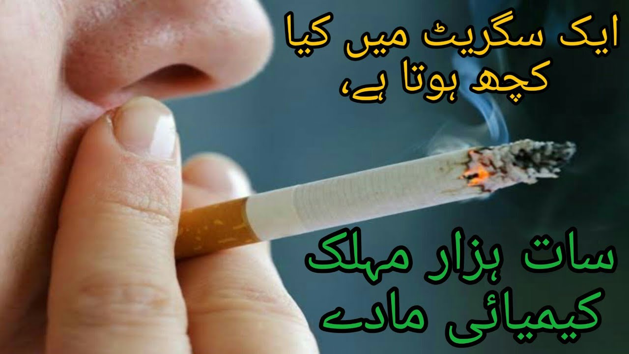 What Happens In One Cigarette Seven Thousand Deadly Chemicals URDU What Happens In One Cigarette Seven Thousand Deadly Chemicals URDU