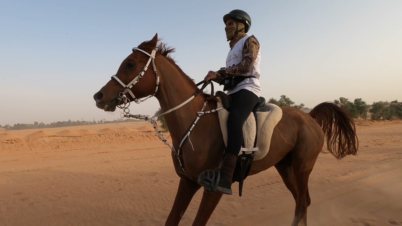 التأهيلي السادس ٤٠ و ٨٠ كم بالخالديه ٢٧ شعبان ١٤٤٢هـ