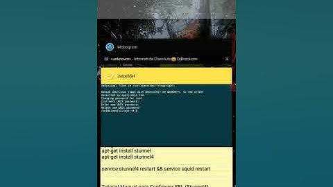 Como configurar o SSL/TLS Stunnel4