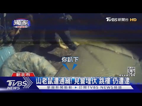 #獨家 山老鼠遭通緝! 見警埋伏「跳樓」仍遭逮｜TVBS新聞