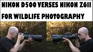 NIKON Z6II verses NIKON D500 FOR WILDLIFE PHOTOGRAPHY
