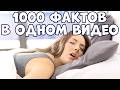 1000 СКУЧНЫХ ФАКТОВ, ПОД КОТОРЫЕ ЛЕГКО УСНУТЬ