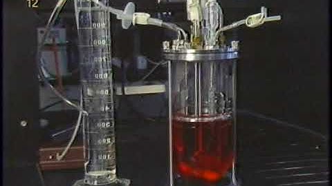 12. Sparging  //  Microcarrier Techniques