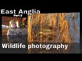 East Anglia Wildlife Photography part 2