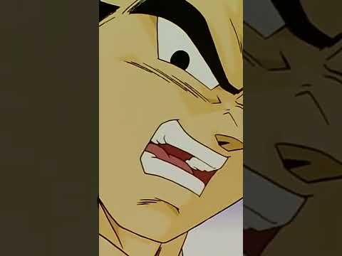 دراغون بول فيجتا يحاول قتل ماجين بوو السمين بعد انتصارهم على ماجين بوو