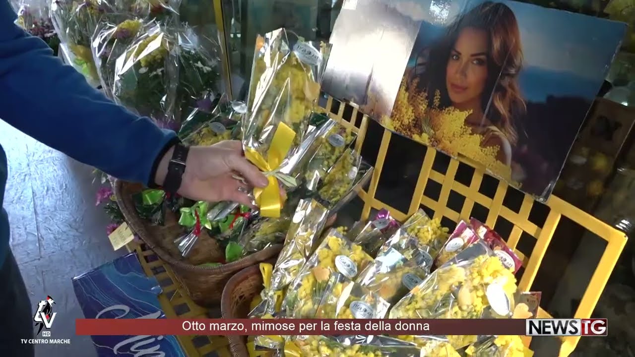 Otto marzo, mimose per la festa della donna