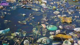 APES Project - Water Pollution