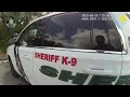 Pasco sheriff K9 deputy tracks down burglary suspect