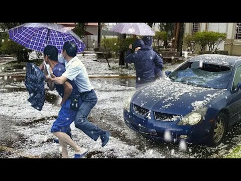 Video: Milano'da Hava ve İklim