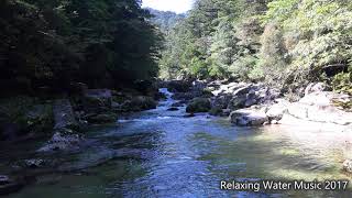 【癒し】自然音　川のせせらぎ　力強く屋久島の渓谷を流れる清流　ヤクスギランド