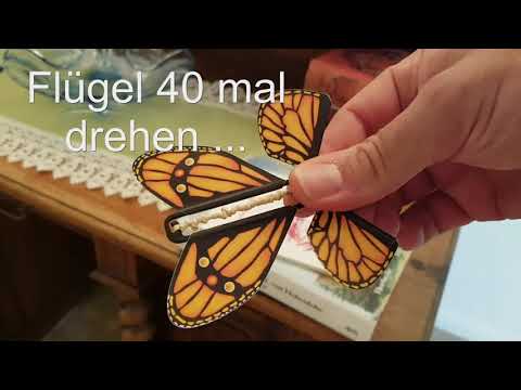 Video: Elektrischer Schmetterling - Gunook