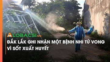 Đắk Lắk ghi nhận một bệnh nhi tử vong vì sốt xuất huyết