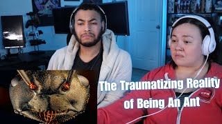 видео: OtakuCouple реагирует на травмирующую реальность жизни муравья (Casual Geographic) картинка: OtakuCouple реагирует на травмирующую реальность жизни муравья (Casual Geographic)