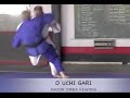 ASHI-WAZA.  32 in 2 minutes. JUDO Foot Sweeps & reaps.