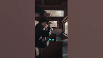 ماذا تعلم اليابانيون من منقار هذا الطائر العجيب الهندسة الابتكار 