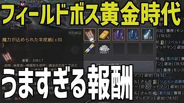 黒い砂漠フィールドボス 黒い砂漠フィールドボス