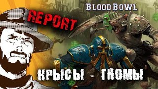 Мультшоу Репорт Warhammer FB BloodBowl Skavens VS Dwarf Cabal Vision Репорт Крысы против Дварфов