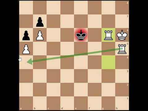 What Is a Ladder Checkmate? - Howcast