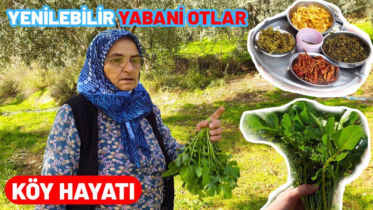 BAHÇEMİZDEN YENİLEBİLİR YABANİ OT TOPLADIK VE PİŞİRDİK | Köy Hayatı Yaşamak | Köyde Hayat | Vlog
