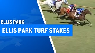2025 150 000 Ellis Park Turf Stakes at Ellis Park